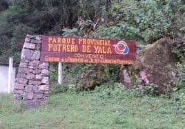 images (8)