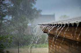 images (1)