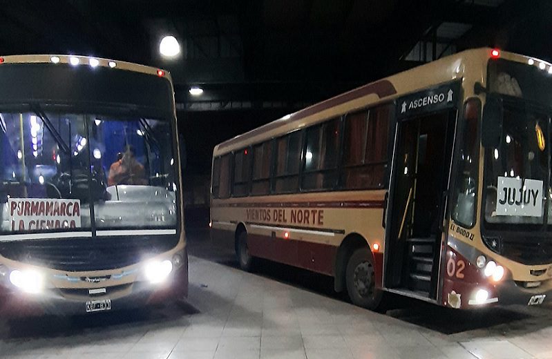 COLECTIVO3