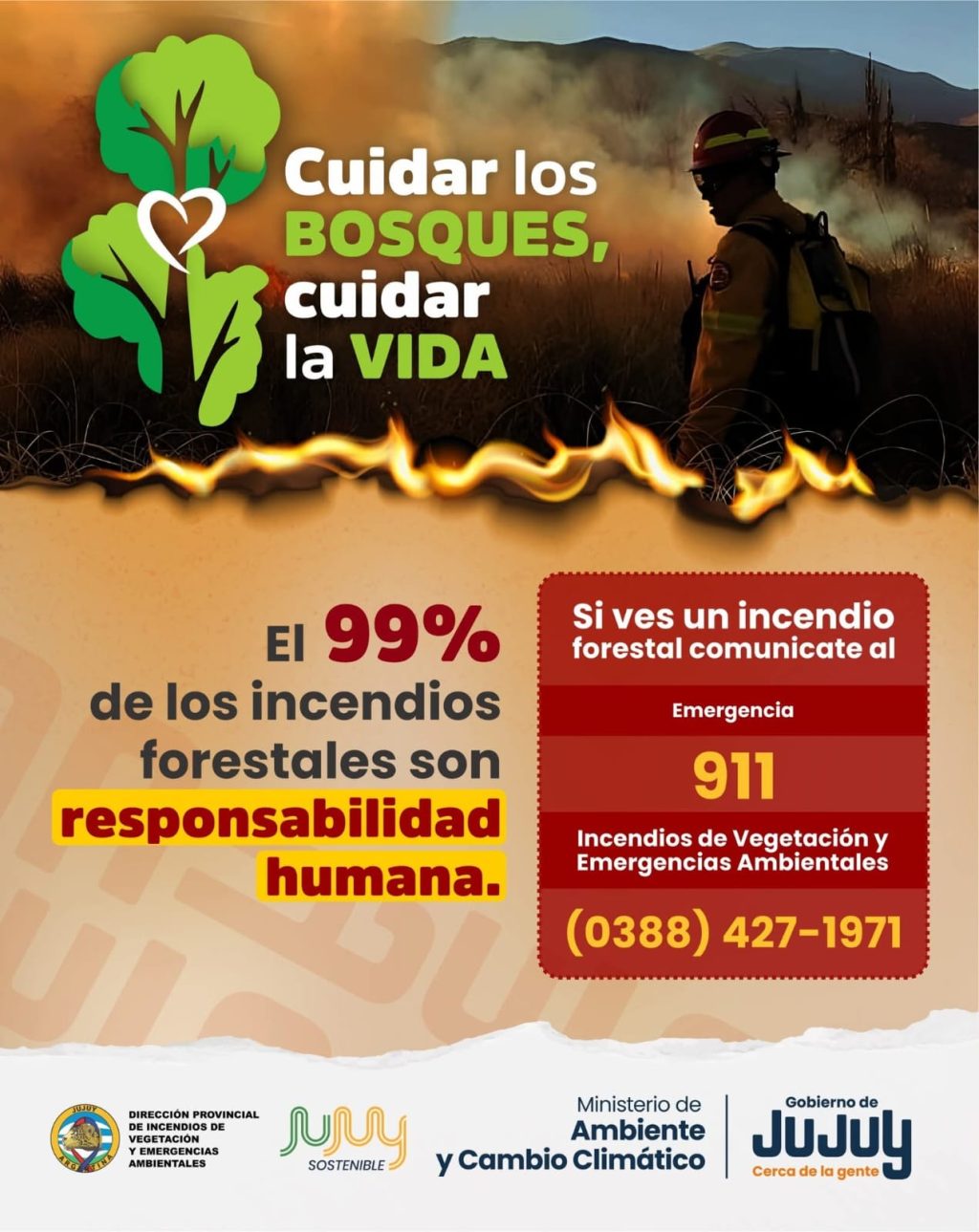 WhatsApp Image 2025-08-02 at 18.05.00